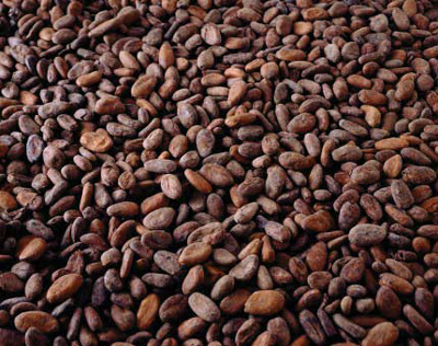 cocoa_beans