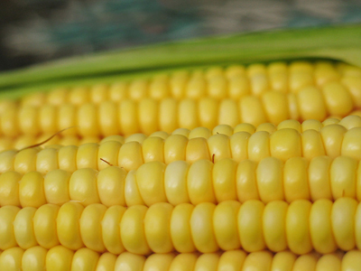 corn