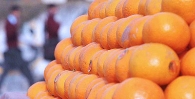 pakistan-oranges