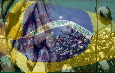 sugarcane_cotton_brazil