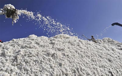 china-cotton
