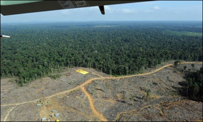indo