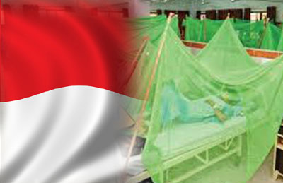 indonesia_dengue