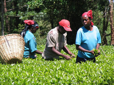 kenya