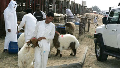livestocks