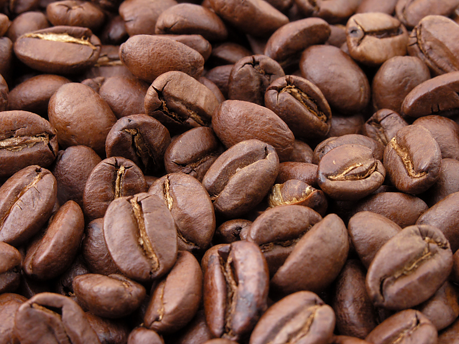 Roasted_Coffee_Beans