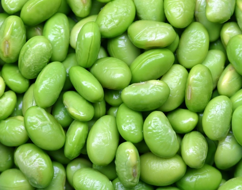 soybean