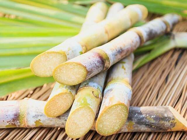 El azúcar sin refinar se recupera, el café se acerca al máximo de un mes: mercados