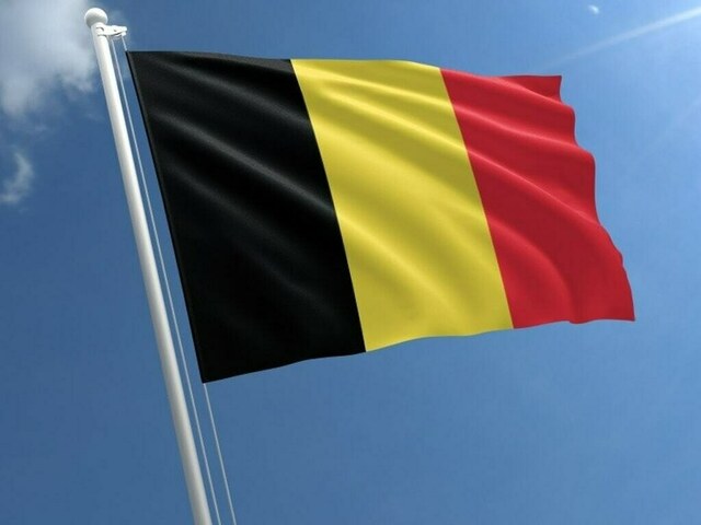 Belgian army disbands platoon over violent hazing
