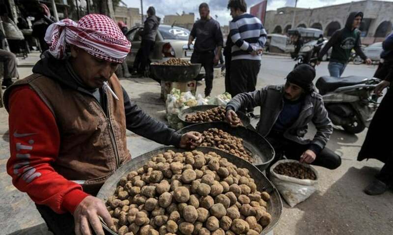 Syria landmine blast kills 16 truffle hunters