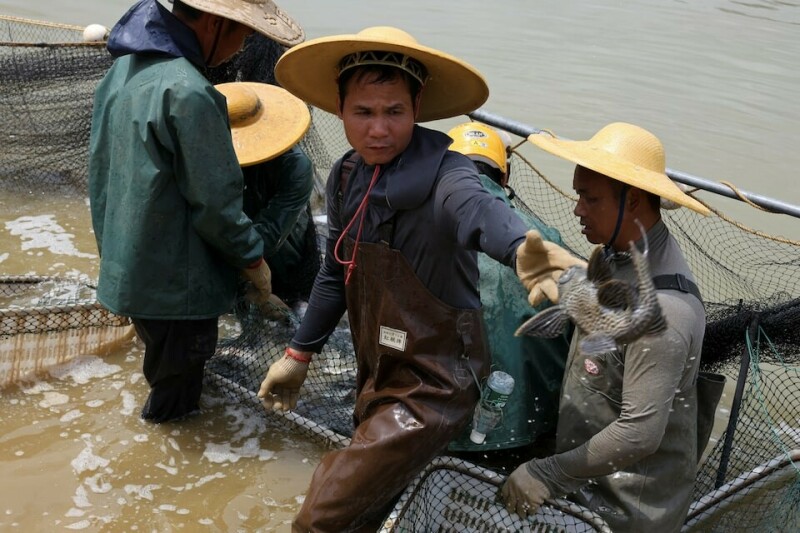 The Chinese fish town caught in the US tariff net