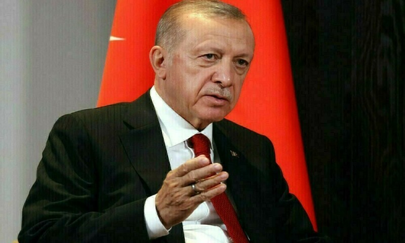 Turkey’s Erdogan insists on Cyprus two-state solution
