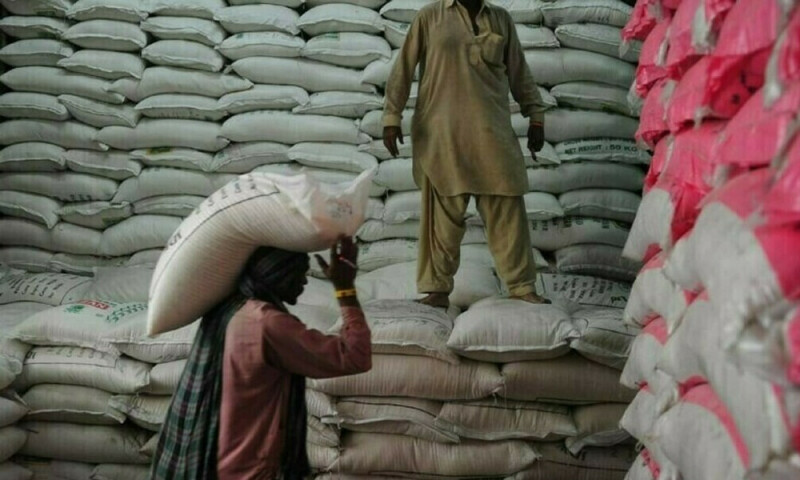 Pakistan believed to have received no offers in 50,000 T sugar tender, traders say