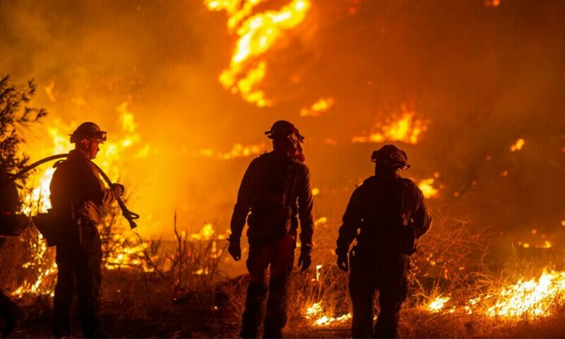 250 flee as Turkish rescuers battle wildfire in Gallipoli – World  www.brecorder.com