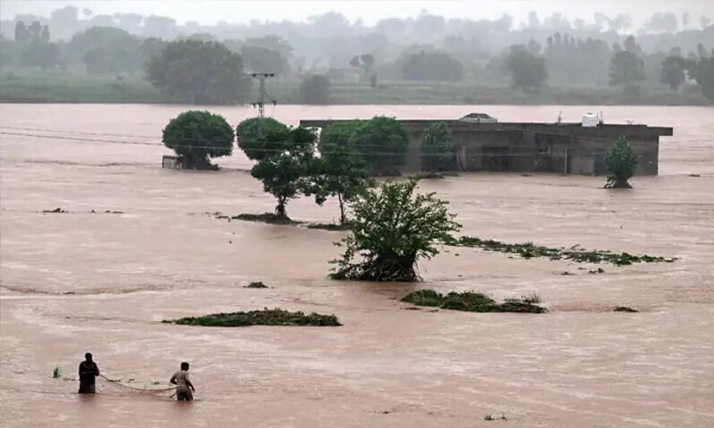 Flood-hit Pakistan, India face rising basmati prices amid crop losses