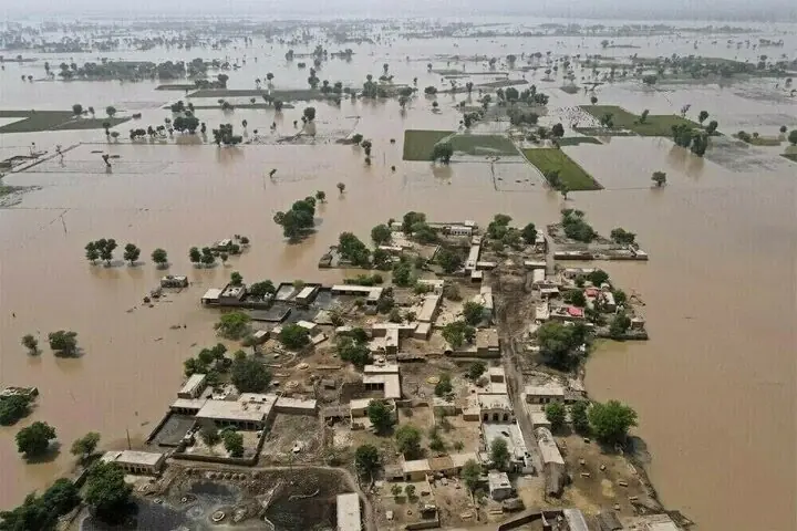 Floods ravage over 1.3mn acres of agricultural land in Punjab, says PBF ...