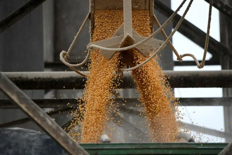 Pakistan set to export corn as Iran prepares trade mission