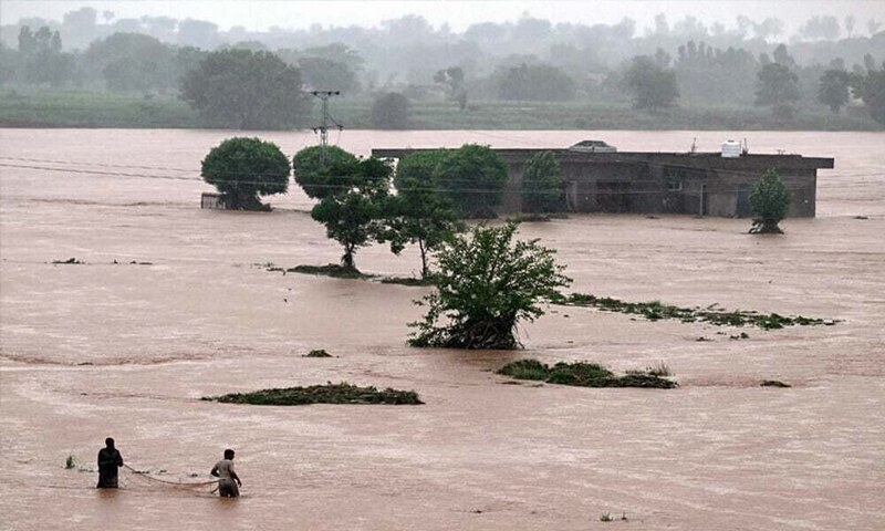 Floods destroy 1.3m acres of farmland in Punjab: BMP for comprehensive rehabilitation