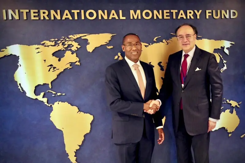 Pakistan reaffirms reform commitment in meeting with IMF deputy chief