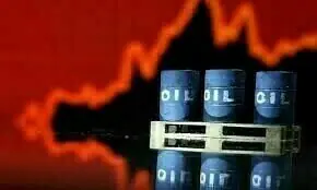 ‘Pricing anomaly’: Petroleum industry faced Rs3/litre loss at oil imports in Jul-Sept, says report