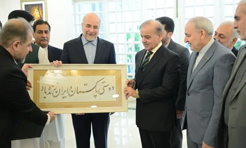 PM Shehbaz offers Iran cooperation for economic development, trade