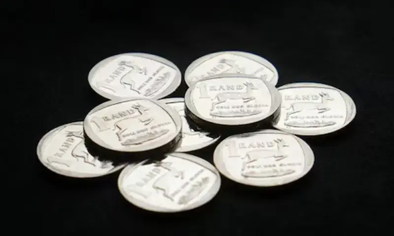 South African rand steady before mid-year budget review