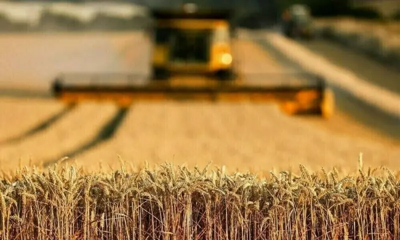 Agri-food exporters urge govt to scrap taxes, slash restrictions