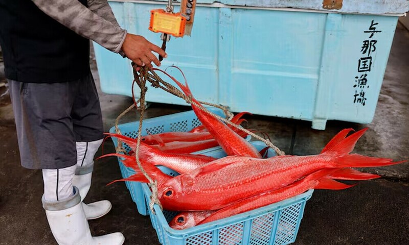 China to halt Japan seafood imports amid Taiwan spat
