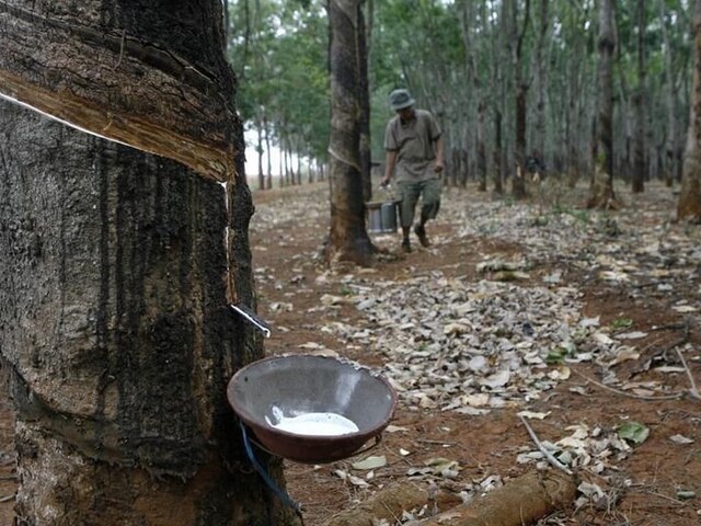Japanese rubber lower on signs of weak demand
