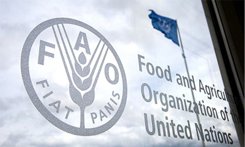 EU, FAO conclude SRAS project supporting over 200,000 people in Sindh