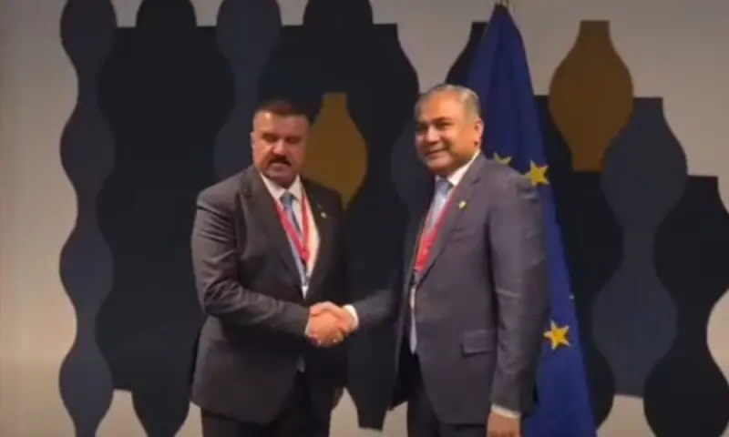 Pakistani pilgrims will not be allowed to overstay in Iraq, assures Naqvi