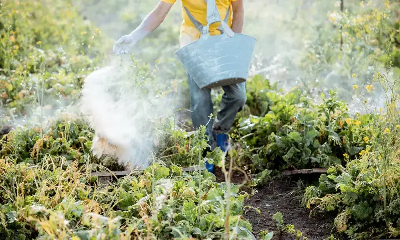 Pesticides products: CCP suggests re-evaluation of two-year shelf-life limitation