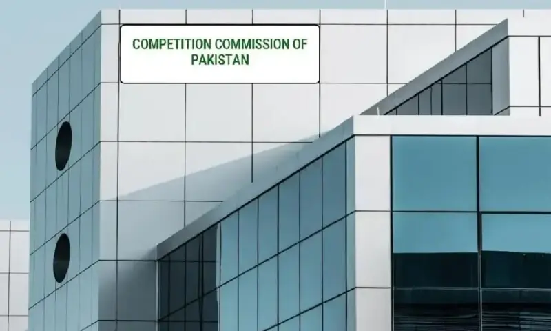 Key sectors: CCP establishes CECL to conduct research