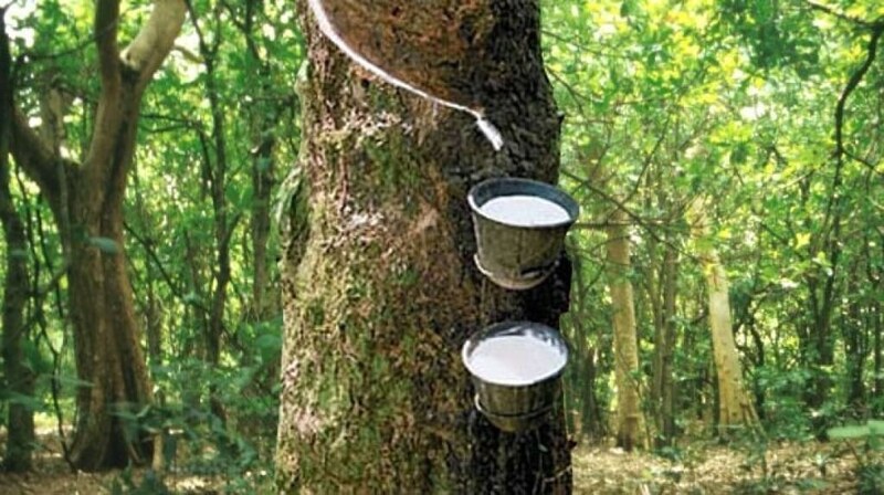 Japanese rubber futures lower on soft demand