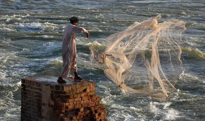Minister admits power costs, shortages are undermining Pakistan’s fisheries exports