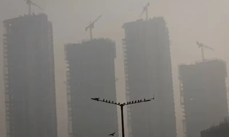 India detains environmental activist over anti-fossil fuel work