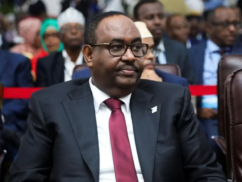 Somalia annuls all agreements with UAE