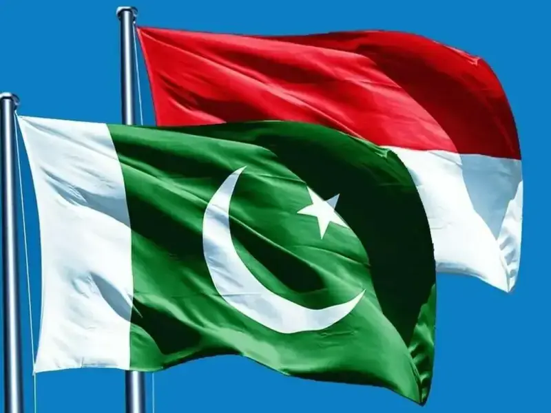 Pakistan, Indonesia sign MoU to promote cooking oil industry