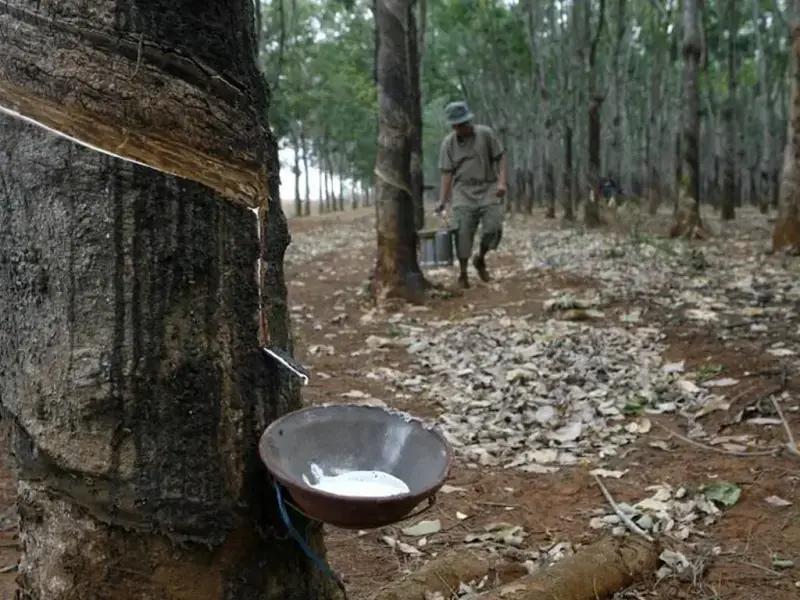 Japan rubber futures gain as yen falls to 1-1/2-year low