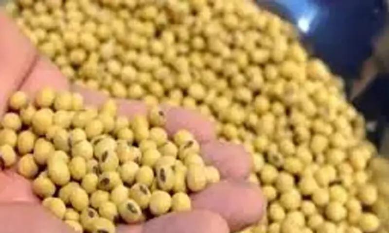 Soybean futures rise on softer dollar; Trump’s Greenland threats cap gains