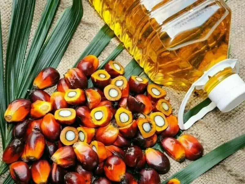 Malaysian palm oil gains on lower output prospects