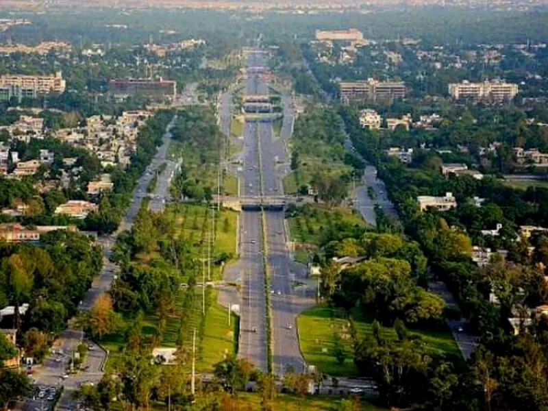 Pollen free Islamabad: 80,000 Paper Mulberry trees identified for removal