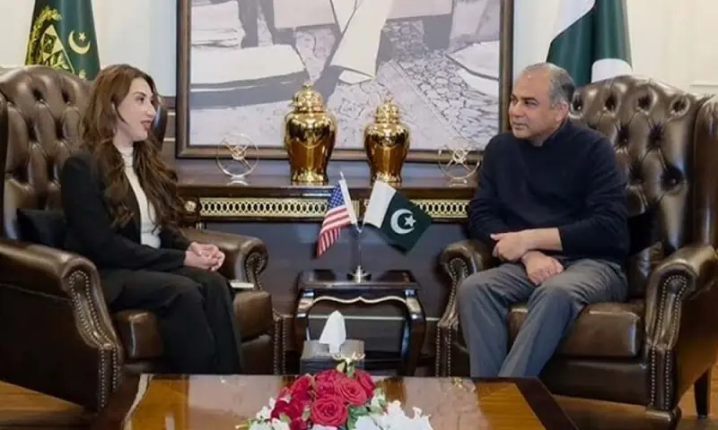 US, Pakistan discuss steps to strengthen ties