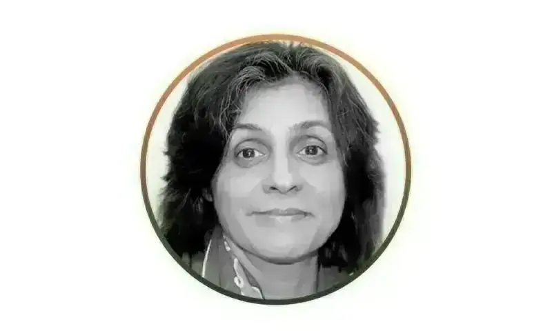 OPINION: Pakistani assets: natural and man-made