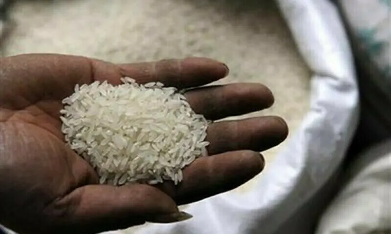 Pakistan seeks larger rice exports to Türkiye as India, Vietnam intensify competition