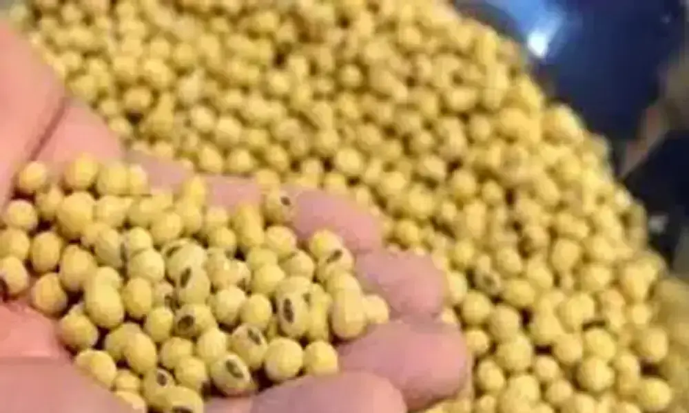 Soybeans and corn rise thanks to sliding dollar, hot Argentina weather