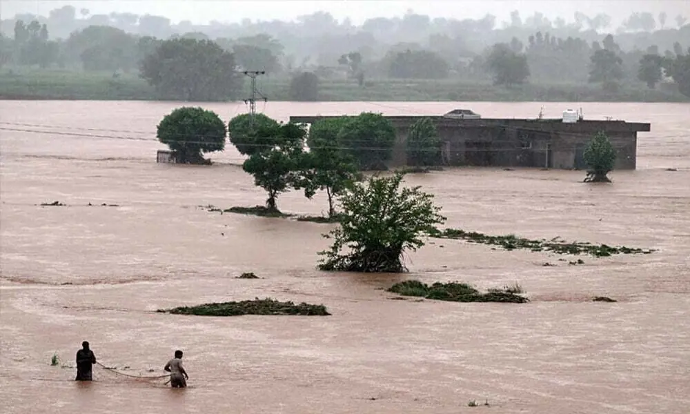 World Wetlands Day: Ministry vows wetlands’ restoration to reduce flood risks