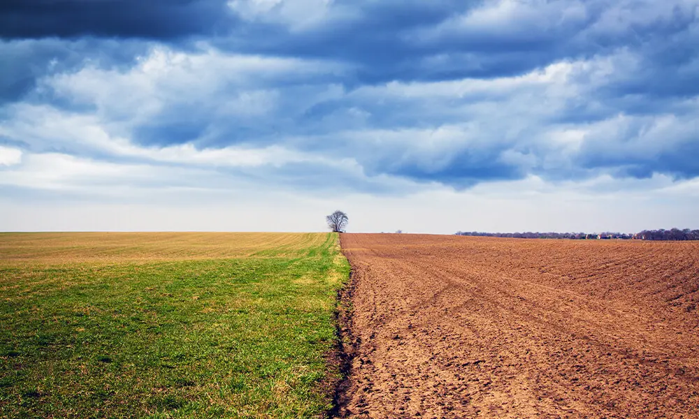 Pakistan govt directs ministries to submit pro-climate budget proposals for FY2026-27