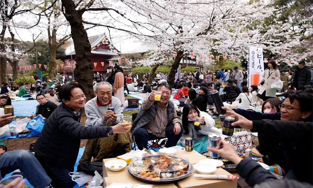 Mount Fuji cherry blossom festival cancelled due to overtourism - Life & Style - Business Recorder