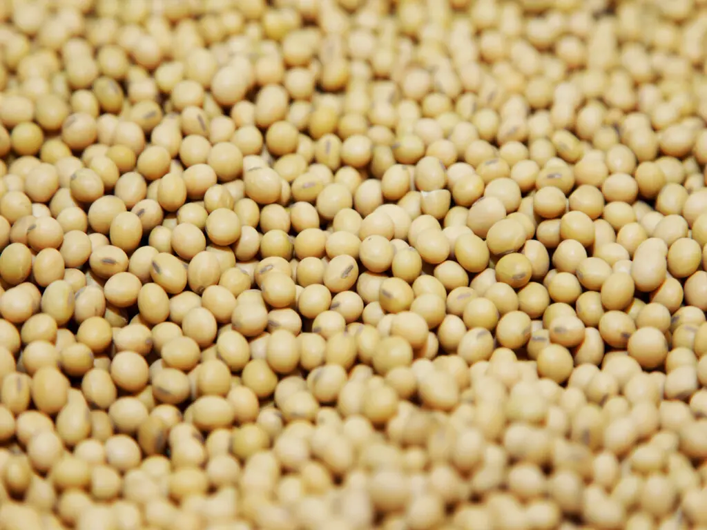 Soybeans continue gains on Trump’s China comments